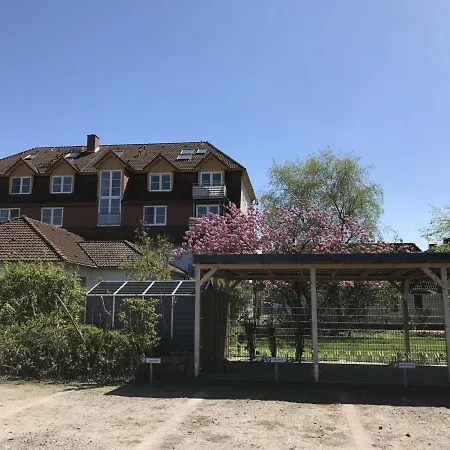 Apartment Immenbarg, Alter Strom *